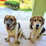 Amanda e Matteo - @amandamatteo2010 - Instagram