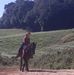 Amanda Mazur - Facebook