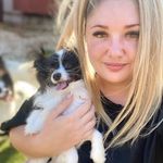 Amanda McColl - @sabeliapapillons - Instagram