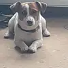 Amanda McCracken - @amanda.mccracken3 - TikTok