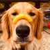 Amanda McCurry - Facebook