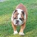Amanda McElroy - Facebook