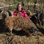 Amanda McNamee Todahl - @mcnameehomestead - Instagram