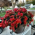 Amanda Mears - @a_mears31 - Instagram