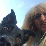 Amanda Medlin - @mandymedlin_ - Instagram