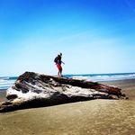Amanda Melville - @amelville - Instagram