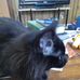 Amanda Melville - Facebook