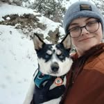 Amanda Merrill - @thecomfytraveler - Instagram