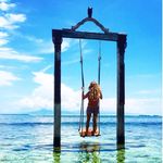 Amanda Merrill - @amandajmerrill - Instagram