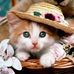Amanda Millar - Facebook