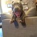 Amanda Millar - Facebook