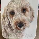 Amanda Millard - @amandamillard9986 - Instagram