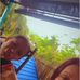Amanda Minter - Facebook