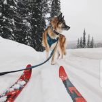 Amanda mintz - @mintz6313 - Instagram