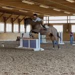 Amanda Mintz - @amandamintz.eq - Instagram