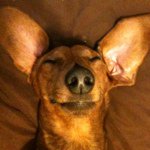 Amanda Mobley - @amobes - Instagram