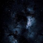 Amanda Molinar - @mayor_raccoon - Instagram