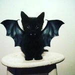 Amanda Molinar - @amolinar0766 - Instagram