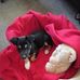 Amanda Maritz - Facebook