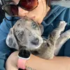 Amanda Moritz - @mandycamposr - TikTok