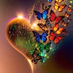 Amanda Nicholas - Facebook