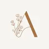 Amanda Noll - @amandasoccasions - TikTok