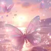 Amanda Nova - @amanda.nova57 - TikTok