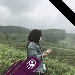 Novi Amanda - Facebook