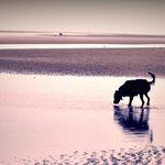 Amanda Nutt - @thenewnutthouse - Instagram
