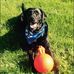 Amanda Ohlson - Facebook