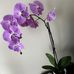 Amanda Oldaker - Facebook