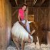 Amanda Olds - Facebook