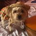 Amanda Ong - Facebook