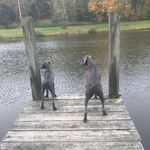Amanda Pagano - @bncwoodwork - Instagram