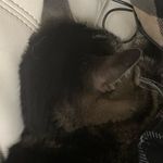 Amanda Pagano - @pagano7774242 - Instagram