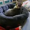 amandajpascuzzi - @amandajpascuzzi - TikTok