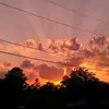 Amanda Patrick - @amanda.patrick58 - TikTok