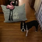 Amanda Pelc - Facebook