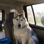 Amanda Pendleton - @pendleton783 - Instagram