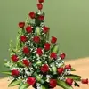 Amanda Perales - @amanda.perales4 - TikTok