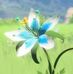 Amanda Percival - Facebook