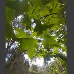 Amanda Perryman - @photography_art_world09 - Instagram