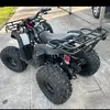 Amanda Persaud - @amanda.persaud11 - TikTok