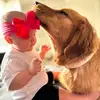 K'35 - @amanda.pieper1 - TikTok