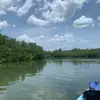 amanda - @amandapine - TikTok