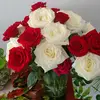 Amanda Pine4t]da - @amanda.pine4tda - TikTok