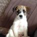Amanda Pinkerton - Facebook