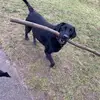 im_a_mum342 - @amandapinkerton29 - TikTok