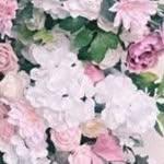 Amanda Pisano - @flowers_giant - Instagram