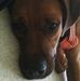 Amanda Ploetz - Facebook